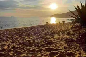 Praia Maresias - Condomínio Fechado