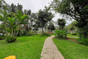 Praia da Baleia – Condomínio Fechado